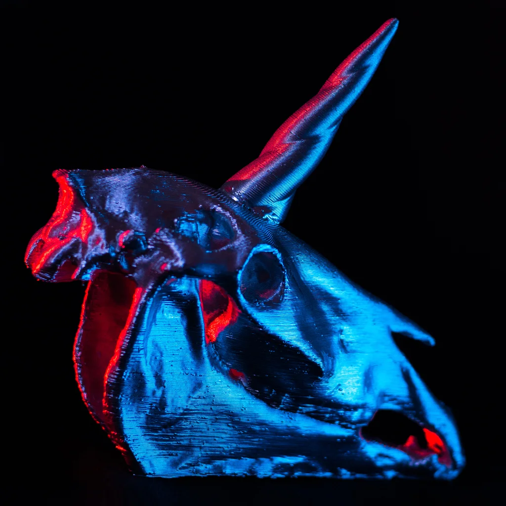 Unicorn Skull — фото автора julcoh